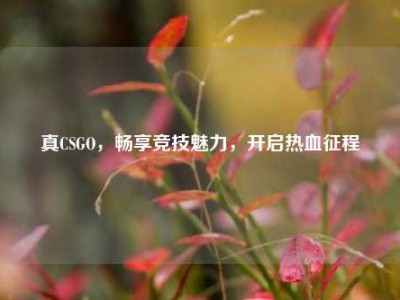 真CSGO，畅享竞技魅力，开启热血征程