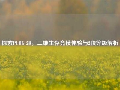 探索PUBG 2D，二维生存竞技体验与2段等级解析