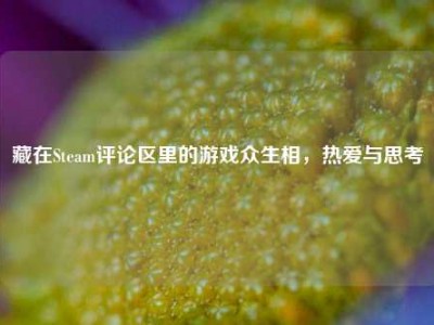 藏在Steam评论区里的游戏众生相，热爱与思考