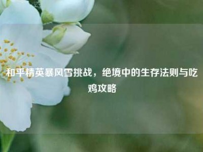 和平精英暴风雪挑战，绝境中的生存法则与吃鸡攻略