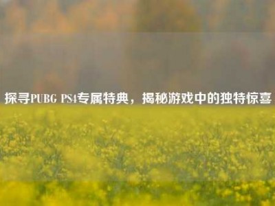 探寻PUBG PS4专属特典，揭秘游戏中的独特惊喜