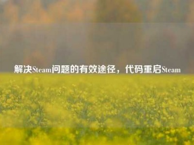 解决Steam问题的有效途径，代码重启Steam
