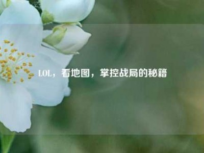 LOL，看地图，掌控战局的秘籍