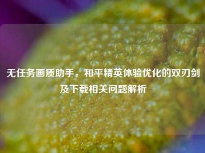无任务画质助手，和平精英体验优化的双刃剑及下载相关问题解析