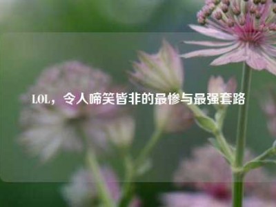 LOL，令人啼笑皆非的最惨与最强套路