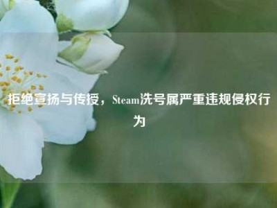 拒绝宣扬与传授，Steam洗号属严重违规侵权行为