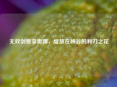 无双剑姬菲奥娜，绽放在峡谷的利刃之花