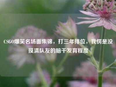 CSGO爆笑名场面集锦，打三年排位，我愣是没摸清队友的脑干发育程度