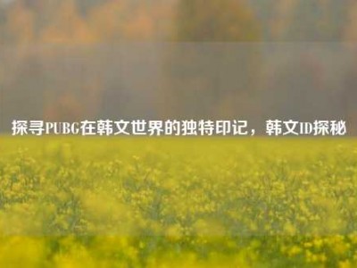 探寻PUBG在韩文世界的独特印记，韩文ID探秘