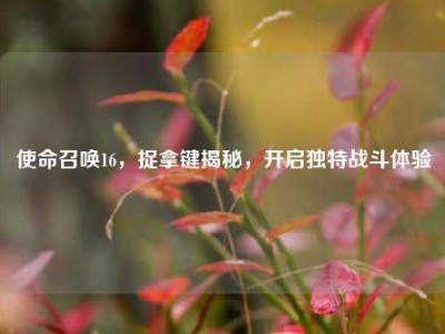 使命召唤16，捉拿键揭秘，开启独特战斗体验
