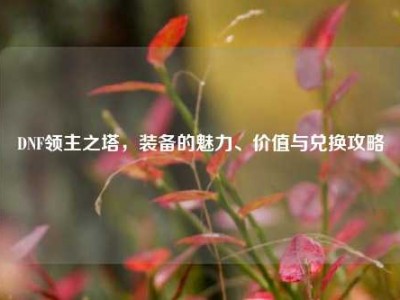 DNF领主之塔，装备的魅力、价值与兑换攻略