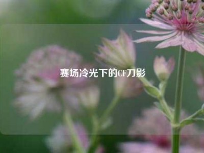 赛场冷光下的CF刀影