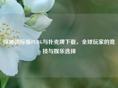 探秘国际版PUBG与扑克牌下载，全球玩家的竞技与娱乐选择