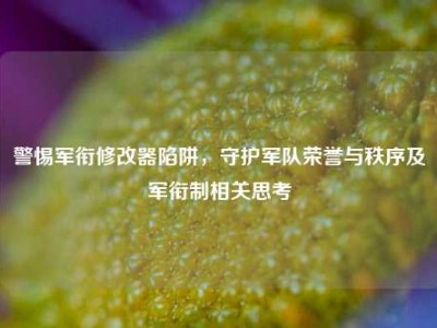 警惕军衔修改器陷阱，守护军队荣誉与秩序及军衔制相关思考