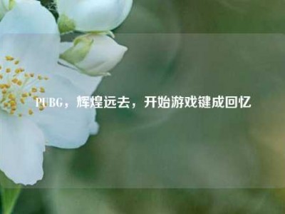 PUBG，辉煌远去，开始游戏键成回忆