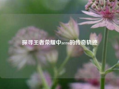 探寻王者荣耀中zero的传奇轨迹