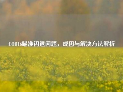 COD16瞄准闪退问题，成因与解决方法解析