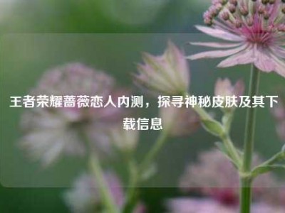 王者荣耀蔷薇恋人内测，探寻神秘皮肤及其下载信息