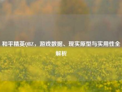 和平精英QBZ，游戏数据、现实原型与实用性全解析