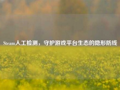 Steam人工检测，守护游戏平台生态的隐形防线