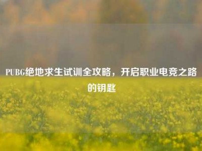 PUBG绝地求生试训全攻略，开启职业电竞之路的钥匙