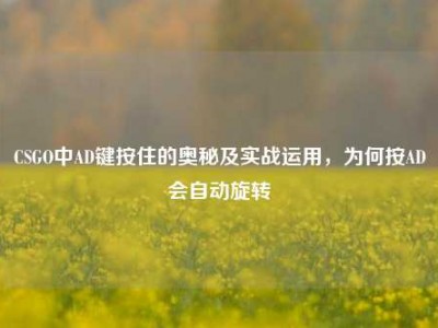 CSGO中AD键按住的奥秘及实战运用，为何按AD会自动旋转