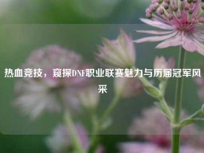 热血竞技，窥探DNF职业联赛魅力与历届冠军风采