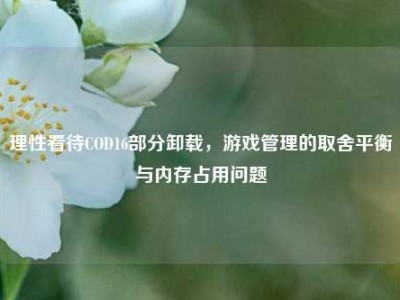 理性看待COD16部分卸载，游戏管理的取舍平衡与内存占用问题