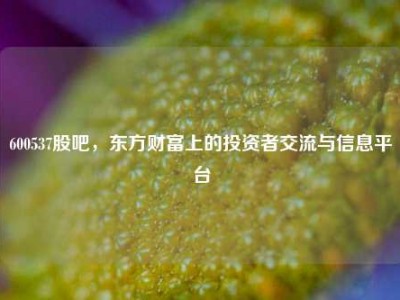 600537股吧，东方财富上的投资者交流与信息平台