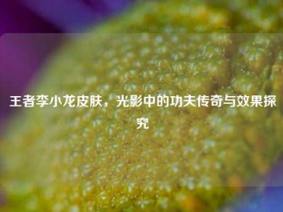 王者李小龙皮肤，光影中的功夫传奇与效果探究
