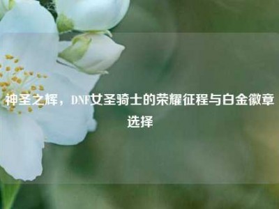 神圣之辉，DNF女圣骑士的荣耀征程与白金徽章选择