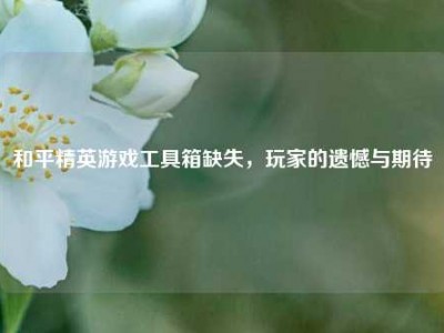 和平精英游戏工具箱缺失，玩家的遗憾与期待