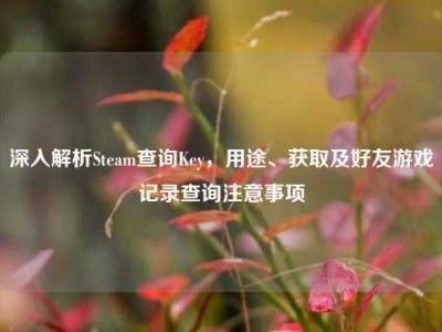 深入解析Steam查询Key，用途、获取及好友游戏记录查询注意事项