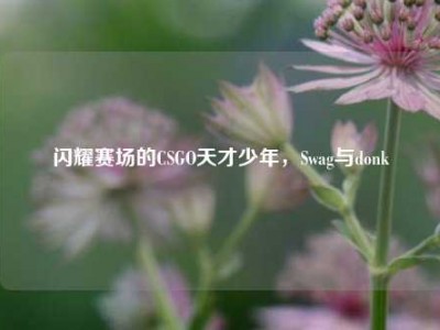 闪耀赛场的CSGO天才少年，Swag与donk