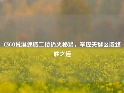 CSGO荒漠迷城二楼扔火秘籍，掌控关键区域致胜之道
