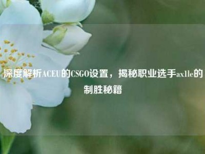 深度解析ACEU的CSGO设置，揭秘职业选手ax1le的制胜秘籍