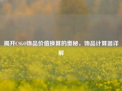 揭开CSGO饰品价值换算的奥秘，饰品计算器详解