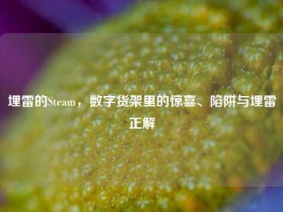 埋雷的Steam，数字货架里的惊喜、陷阱与埋雷正解
