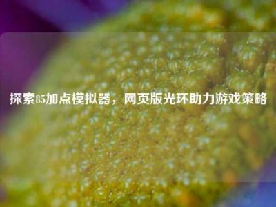 探索85加点模拟器，网页版光环助力游戏策略