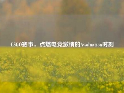 CSGO赛事，点燃电竞激情的Awolnation时刻