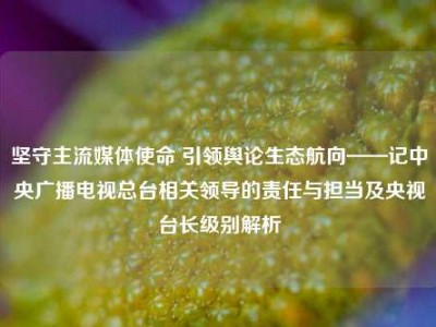 坚守主流媒体使命 引领舆论生态航向——记中央广播电视总台相关领导的责任与担当及央视台长级别解析