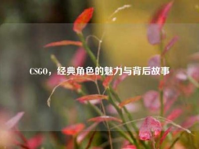 CSGO，经典角色的魅力与背后故事
