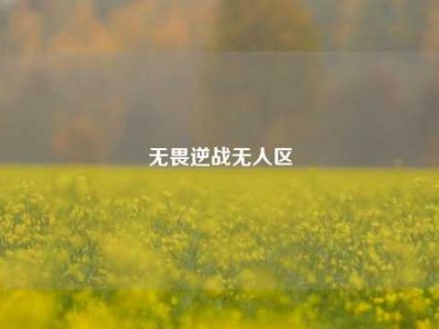 无畏逆战无人区