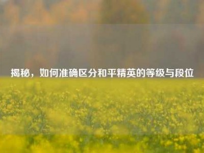 揭秘，如何准确区分和平精英的等级与段位