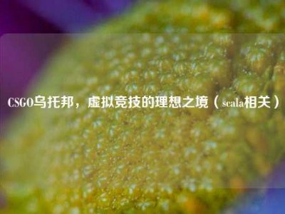 CSGO乌托邦，虚拟竞技的理想之境（scala相关）