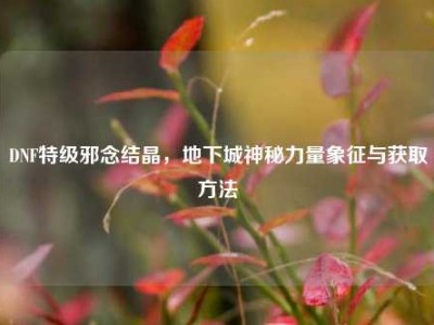 DNF特级邪念结晶，地下城神秘力量象征与获取方法