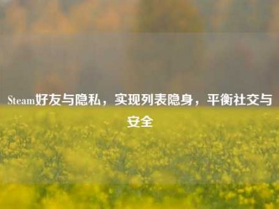 Steam好友与隐私，实现列表隐身，平衡社交与安全