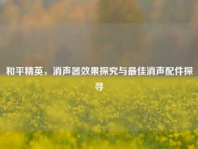 和平精英，消声器效果探究与最佳消声配件探寻