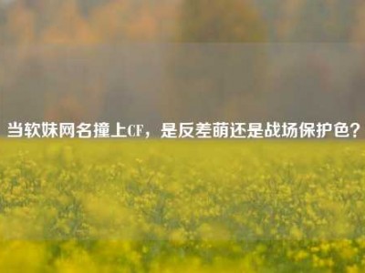 当软妹网名撞上CF，是反差萌还是战场保护色？