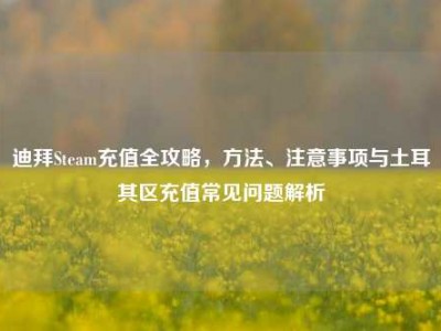 迪拜Steam充值全攻略，方法、注意事项与土耳其区充值常见问题解析